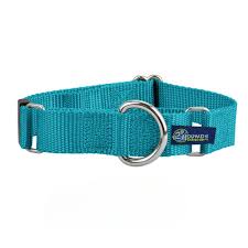 2Hounds 1" Buckle Martingale XLarge- Teal