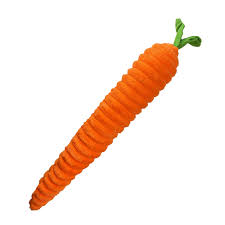 PetLou Luxe Carrot 33"