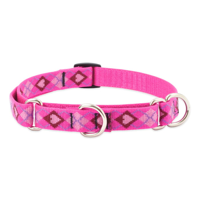 (Clearance) Lupine Puppy Love 1" Martingale - 15"-22"
