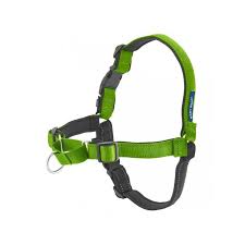 Easy Walk Harness Large Apple/Black