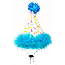 Multipet Blue Party Hat
