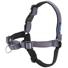 Easy Walk Harness Large Steel/Black