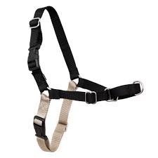 Easy Walk Harness Medium/Large Black/Tan