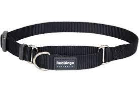 Red Dingo Martingale - 12mm - Black