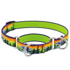 Lupine High Country 1" 19-27 Martingale