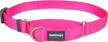 Red Dingo Martingale - 20mm - Pink