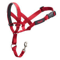 Company Of Animals Head Halti Red Size 4