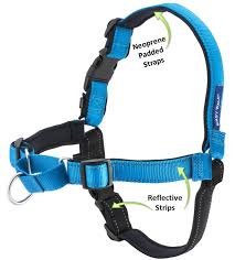 Deluxe Easy Walk  Harness Blue/Black Medium/Large