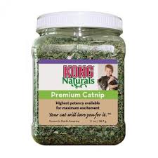 Kong Premium Cat Nip 2oz