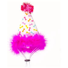 Multipet Pink Party Hat