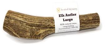 Tuesdays Natural Dog Elk Antler Whole Large