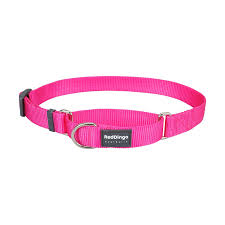 Red Dingo Martingale Hot Pink 15mm