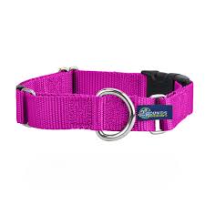 2Hounds 1" Buckle Martingale Medium- Raspberry