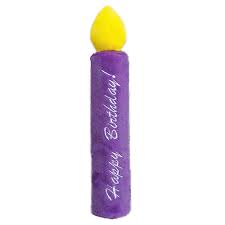 PetLou 9" Birthday Candle