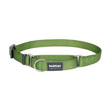 Red Dingo Green Classic Martingale 12in