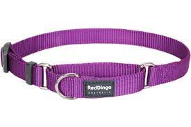 Red Dingo Martingale - S - Purple 15mm