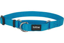 Red Dingo Martingale - 12mm - Turquoise