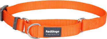 Red Dingo Martingale - 15mm - Orange