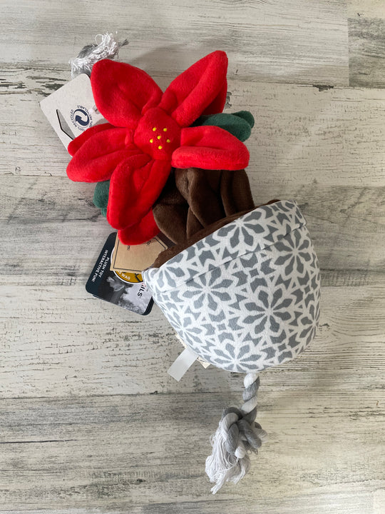Tall Tails Holiday Tug and Treat Poinsettia 16"