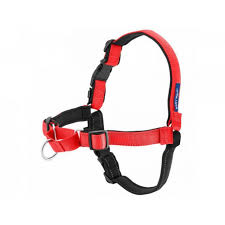 Deluxe Easy Walk  Harness Red/Black Medium/Large