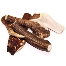 Tuesdays Natural Dog Brown Deer Antler Small Whole