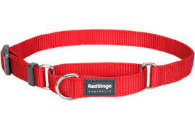 Red Dingo Martingale - 15mm - Red