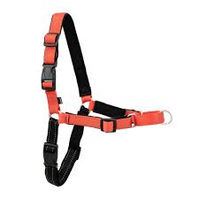 Easy Walk Harness Medium Rose/Black