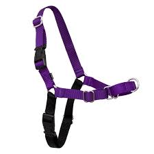 Easy Walk Harness Small/Medium Black/Purple