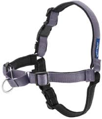 Deluxe Easy Walk  Harness Grey/Black Medium/Large
