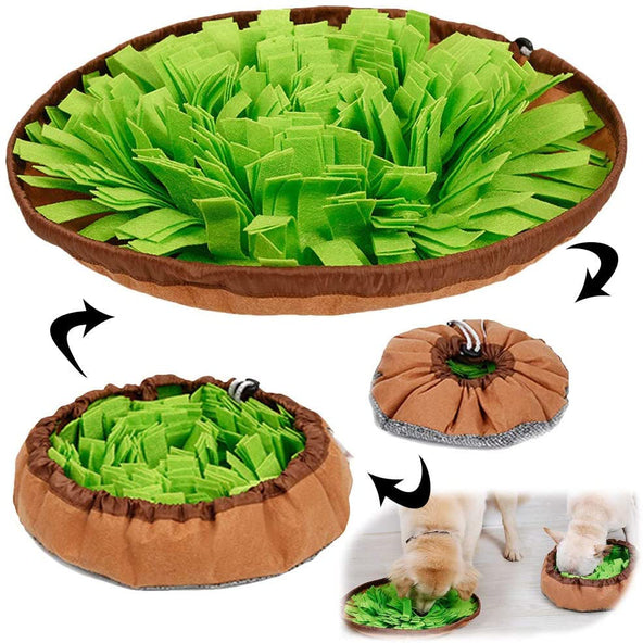 Injoya Snuffle Mat Salad Bowl