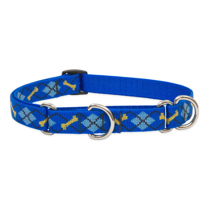 Lupine Dapper Dog 3/4" Martingale