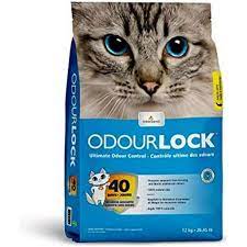 Intersand Odorlock Litter 13lb