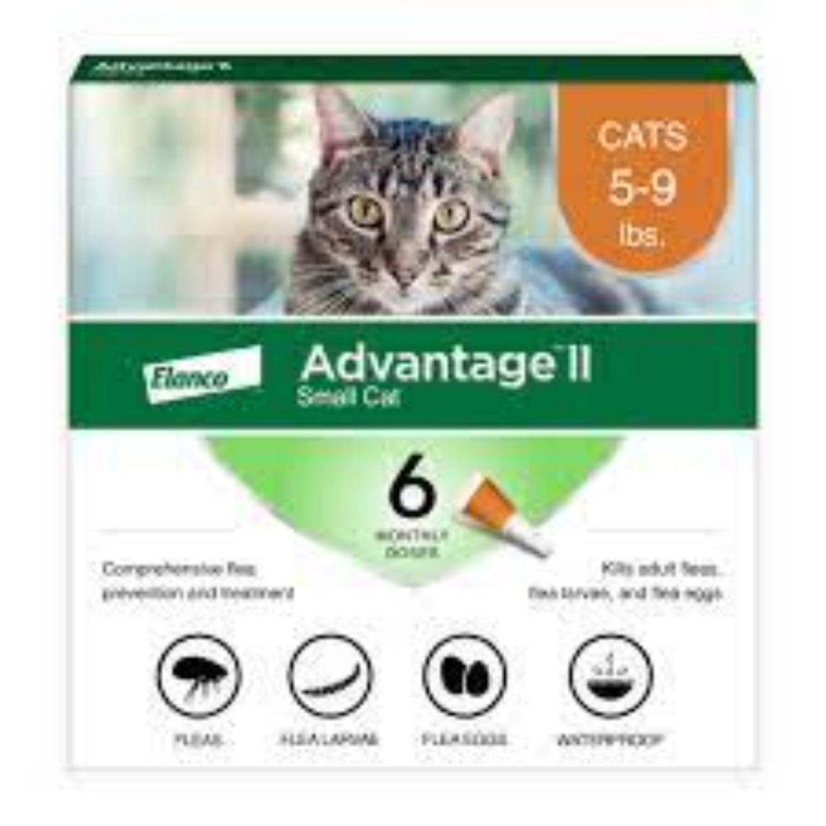 Advantage Cat 4 pk