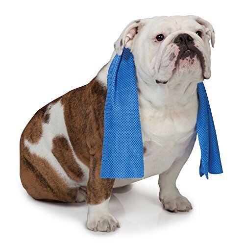 Cool Pup Cooling Towel